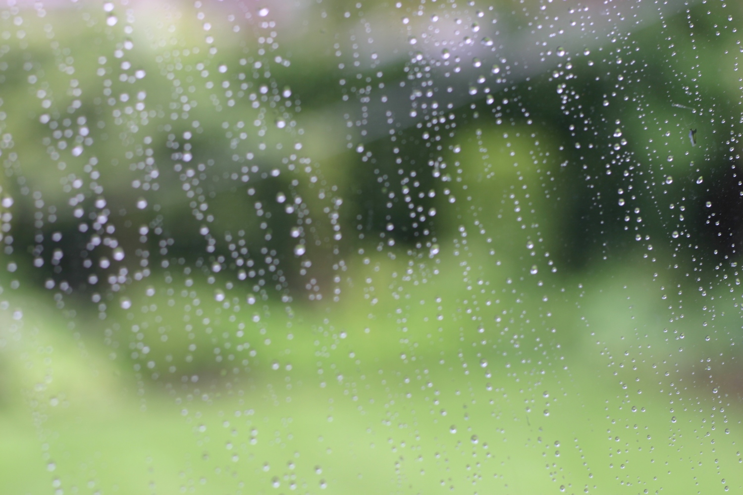 Rain Falling On A Window Rain Falling On A Window